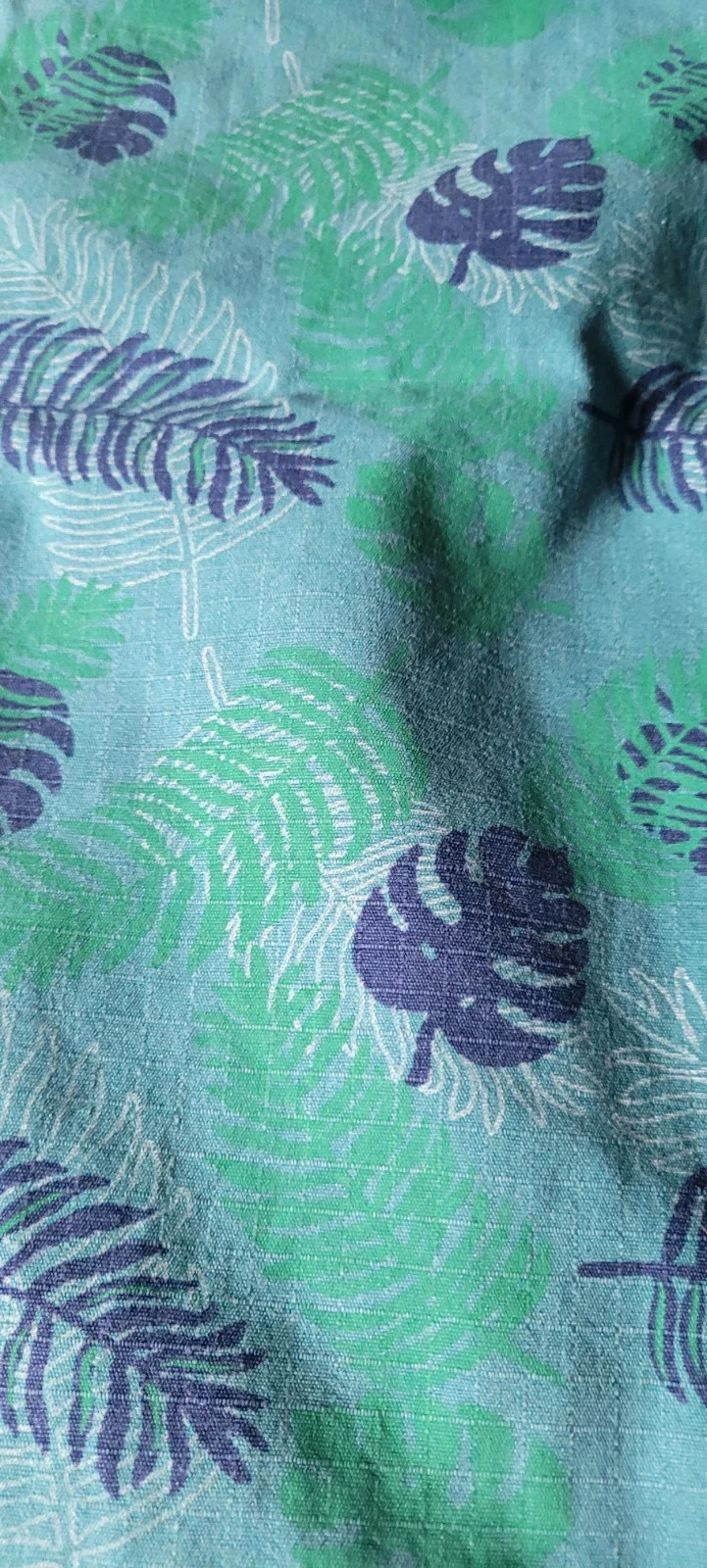 Short – photo 2